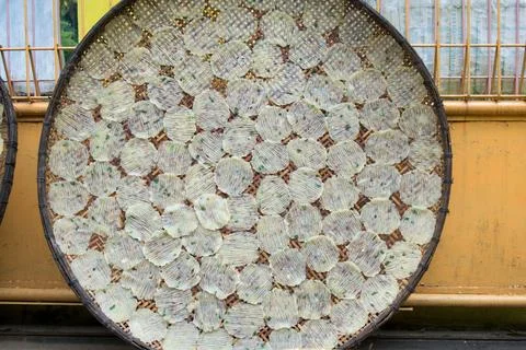 Kicimpring Stock Photos