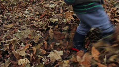Kicking autumn leaves Stock Footage 80789074