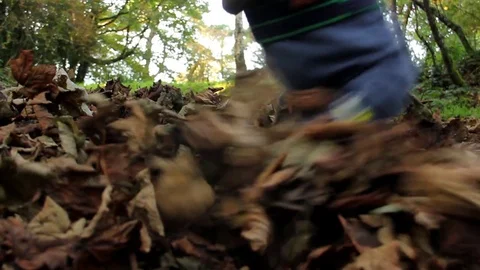Kicking autumn leaves (low angle) Stock Footage 80788959