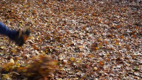 Kicking fall leaves in slow motion. Kicking yellow leaves. Video stock 142669467