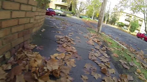Kicking Leaves Slow Motion Stock Footage 25542575