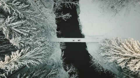 Kicksledding In Winter Wonderland Stock Footage 257568571