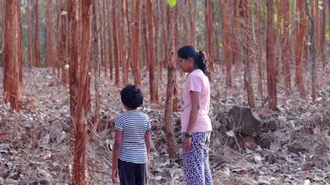 Kid and an adult standing in a thick dry forest Stock Footage 237934603