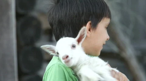 Kid and the boy. A close up. Video stock 852198