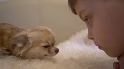 Kid and dog Видео 100498311