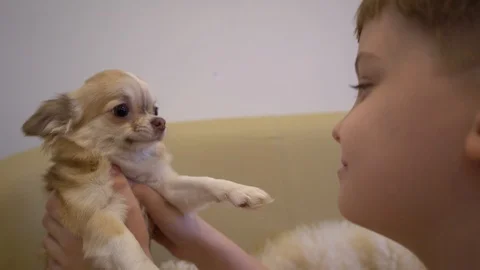 Kid and dog Видео 100498319