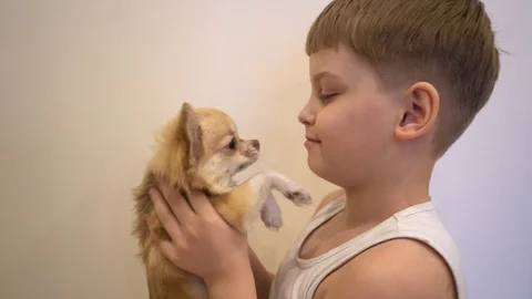 Kid and dog Видео 100498338