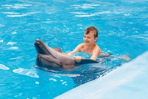 Kid and dolphin communication. Stock Photos