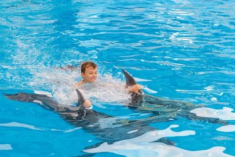 Kid and dolphin communication. Stock Photos