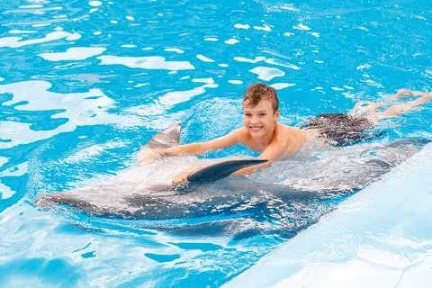 Kid and dolphin communication. Stock Photos