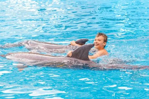 Kid and dolphin communication. Stock Photos