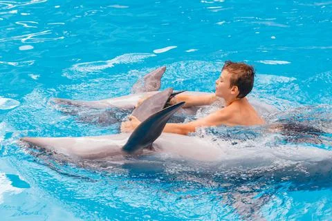 Kid and dolphin communication. Stock Photos