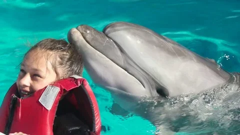 Kid and dolphins Stock Footage 77029063