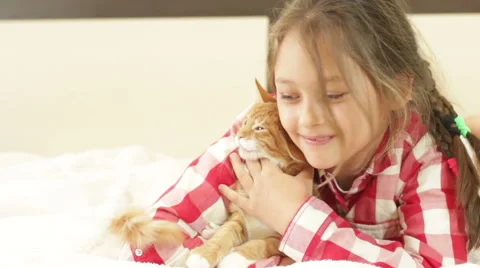 Kid and red kitten Stock Footage 55788224