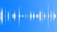 Kid animal vocalisationsSound Effect