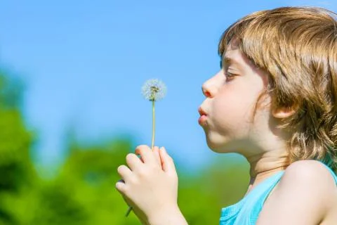 Kid blowing dandelion Stock Photos