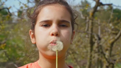 Kid blows on a dandelion. Happy kid having fun outdoors. little plays blowing on Vídeo Stock 193492018