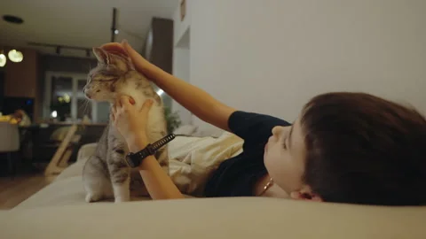Kid boy caressing fluffy cat indoors lifestyle authentic indoors in cozy home Stock Footage 258493182