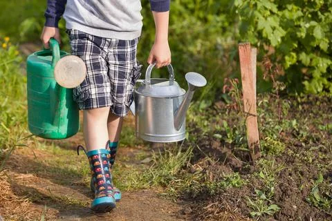 Kid boy carrying two big heavy watering cans with water. Child helping parent Stock Photos