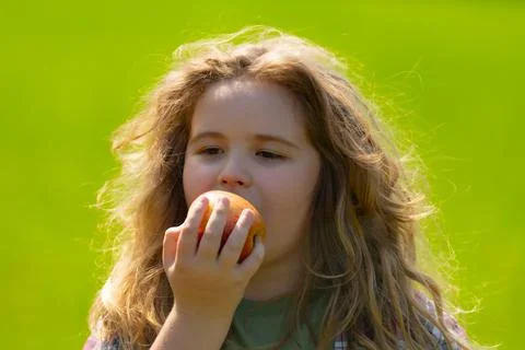 The Kid boy eats an apple. Ripe fruit for kids. Kid bites apple. The boy enjoys Stock Photos