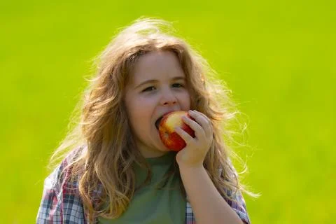 The Kid boy eats an apple. Ripe fruit for kids. Kid bites apple. The boy enjoys Stock Photos