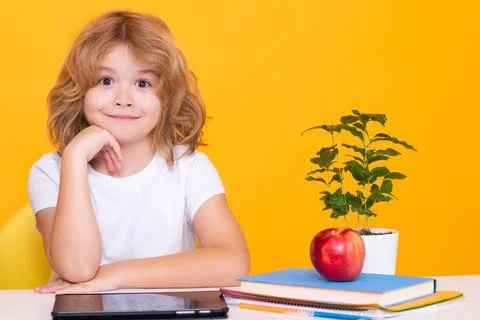 Kid boy from elementary school with book on yellow isolated background. Little Stock Photos