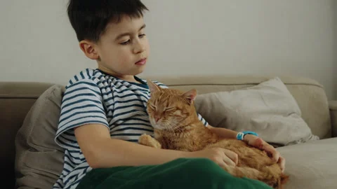 Kid boy stroking the ginger cat relaxing on the sofa. Kids and pets. Little kid 스톡 동영상 272650860