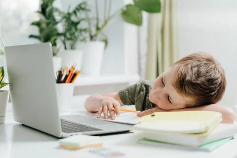 Kid boy study at home at laptop, tired sleep and napping on notepad, doing Foto stock