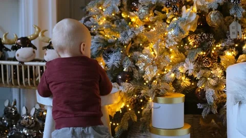 Kid boy walking to the christmas tree Stock Footage 146951576
