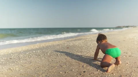 Kid collects shells and pebbles in the sea on a sandy bottom under the summer Stock Footage 348687394