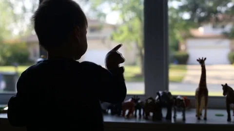 Kid counting toy animals at window, video Stock Footage 79576191