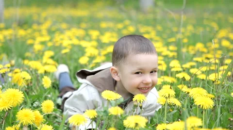 Kid in dandelions Stock Footage 63207652
