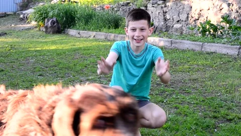 Kid with dog Stock Footage 155367308