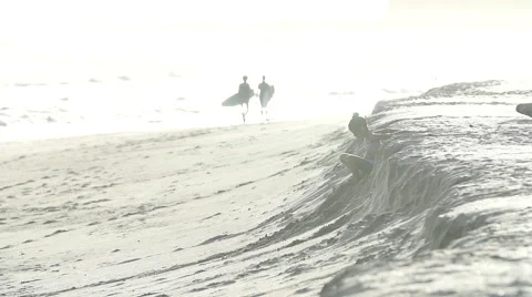 Kid &amp; Dog playing on beach Stock Footage 60648609