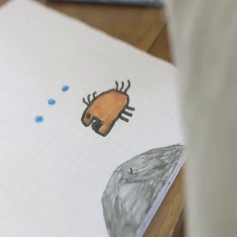 Kid drawing Stock Footage 69632292