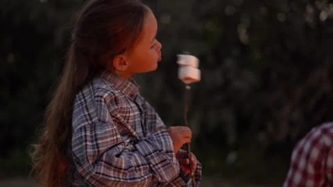 Kid eating roasted marshmallow by a self-made campfire on family camping trip in Stock Footage 252011187