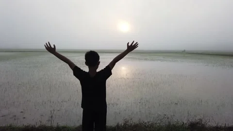 Kid enjoying sunrise Stock Footage 149167822