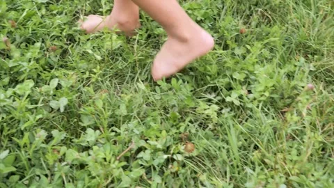 Kid enjoys the feeling of grass under bare feet in lush garden setting Vidéo 294947964