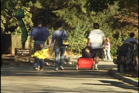 Kid Falls on Sidewalk Stock Footage 297796