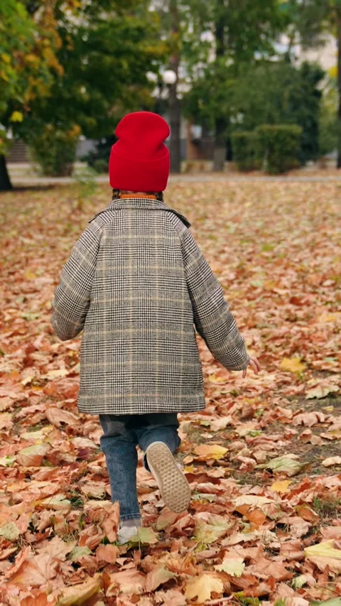 Kid girl running in park on yellow autumn leaves. Concept of children happiness Stock Footage 313164953