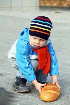 The kid gives bread pigeons Stock Photos