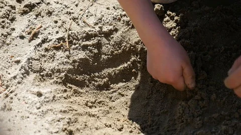Kid hands pulling out roots found in the sand Stock Footage 88597930