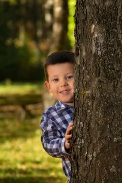 Kid is hiding behind the tree. Stock Photos