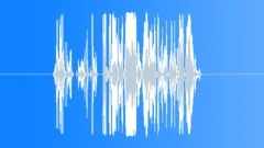 Kid laughter Sound Effect