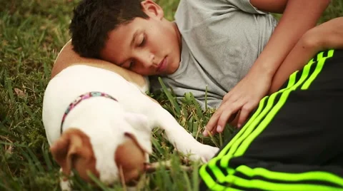 Kid laying down on top of Cute Dog out in the grass Stock Footage 49747674