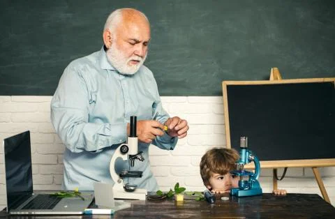 Kid is learning in class on background of blackboard. School. Good teachers Stock Photos