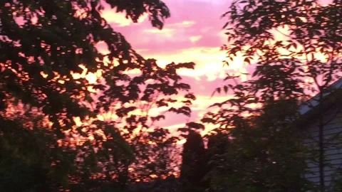 Kid Looking Out Window Video stock 138180634