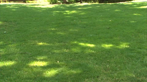 Kid Model Airplane Throw Vídeo Stock 35725313