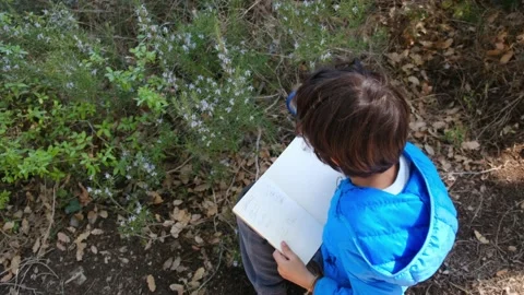 Kid naturalist seated down explores the life of plants and insects Stock Footage 238368553