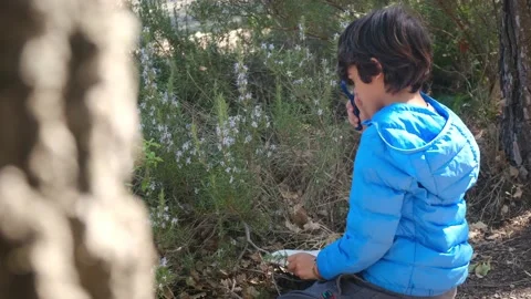 Kid naturalist seated down explores the life of plants and insects Stock Footage 238369185